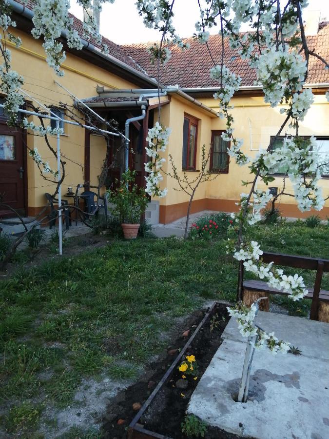 Harsfak Villa Mezokovacshaza Exterior foto