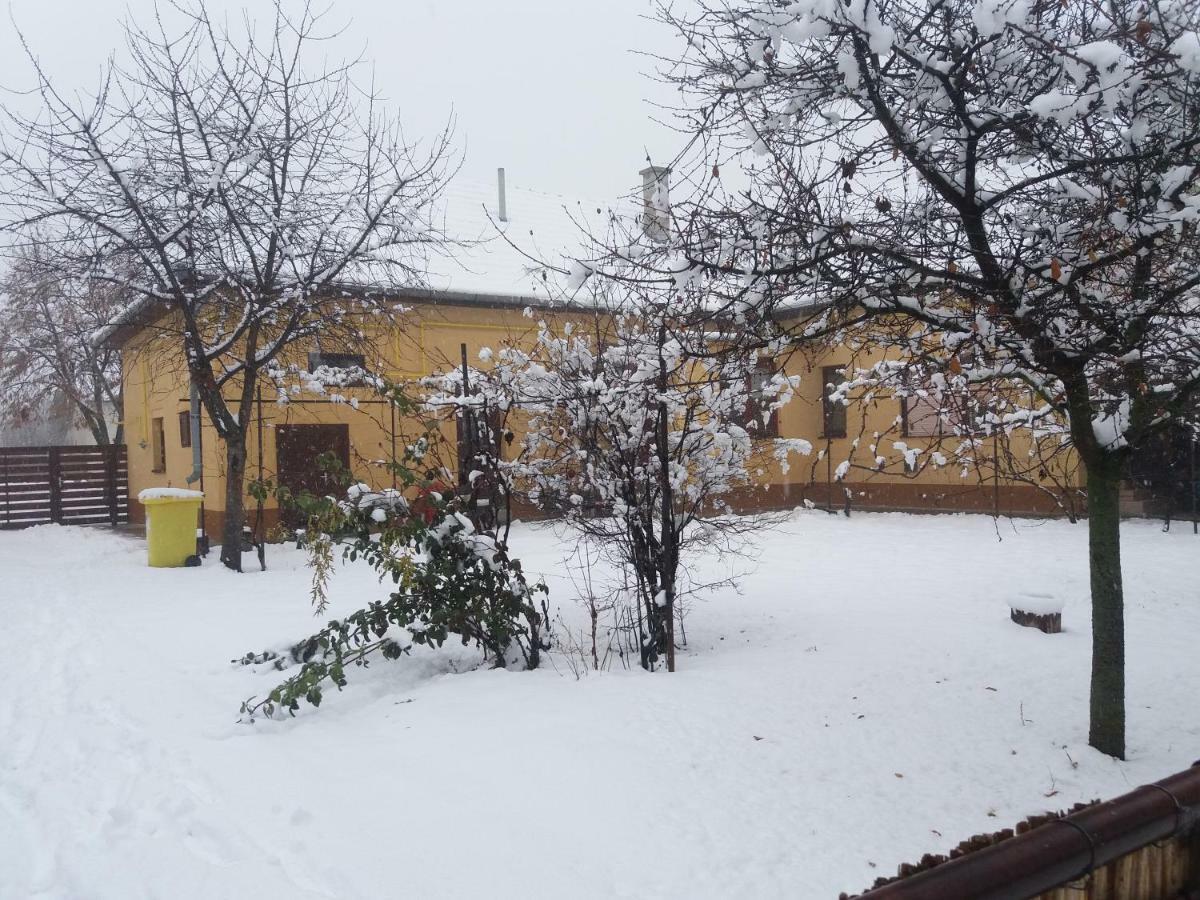 Harsfak Villa Mezokovacshaza Exterior foto