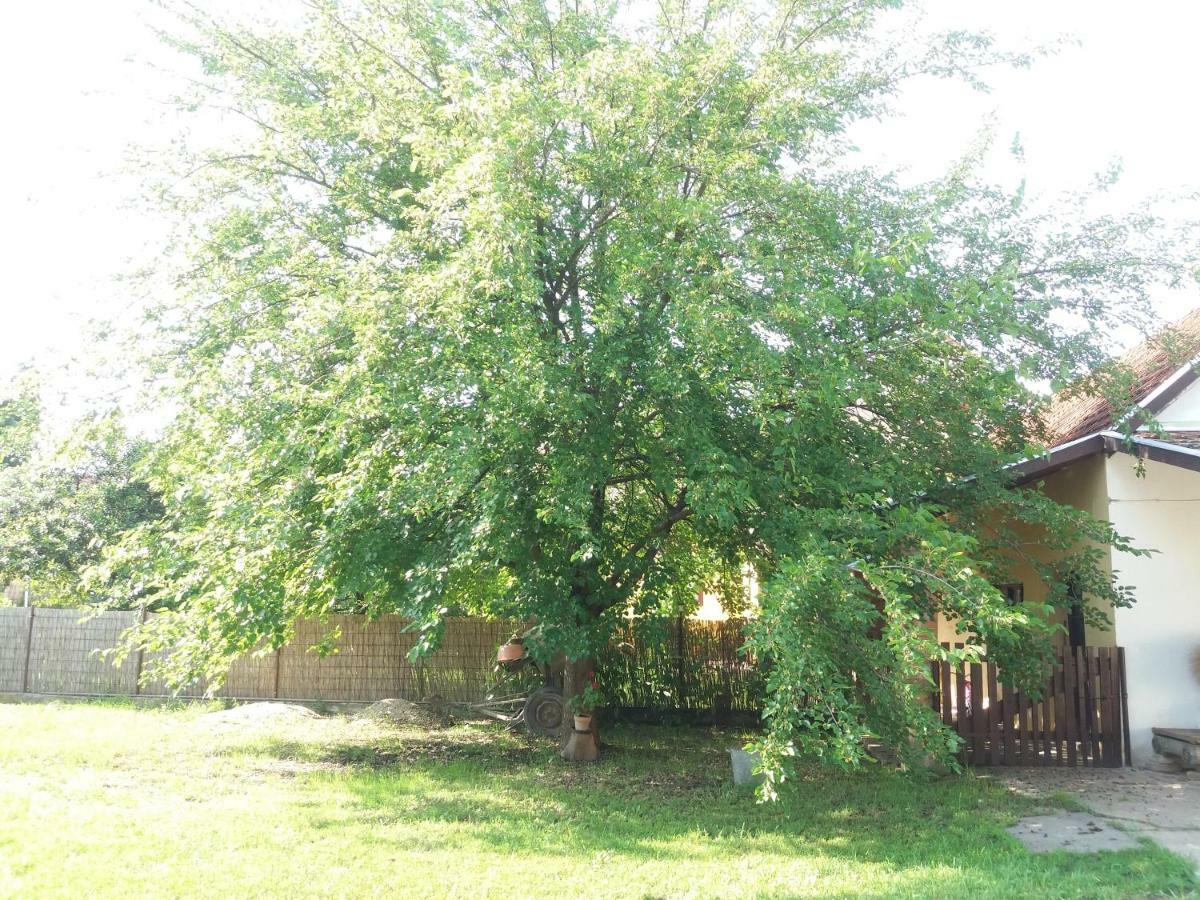 Harsfak Villa Mezokovacshaza Exterior foto